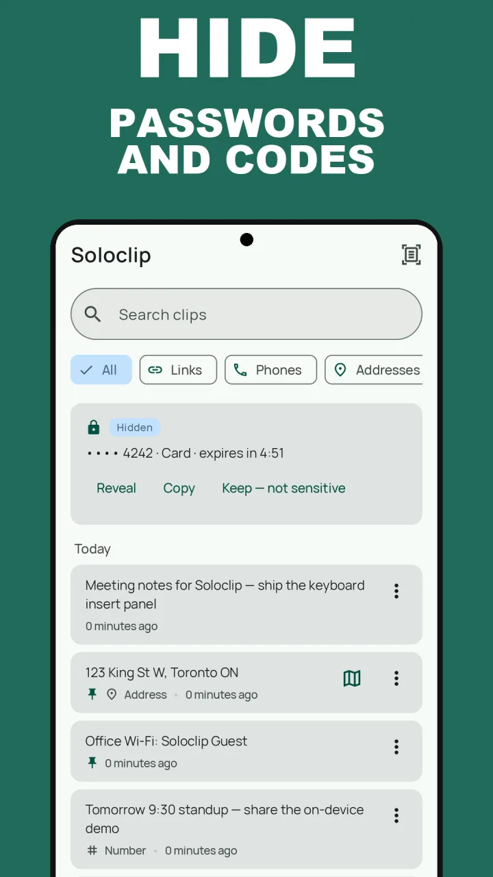 Proteção de dados sensíveis do Soloclip: um número de cartão copiado, mascarado como Oculto, com Mostrar, Copiar e uma contagem regressiva